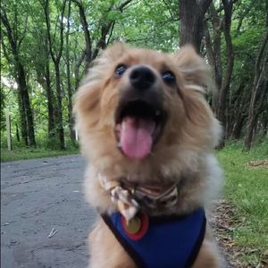 Meet your Posher, Chalunda